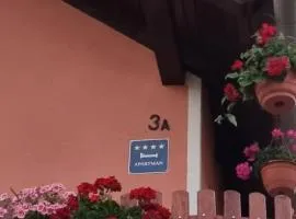 Kod Slaveka