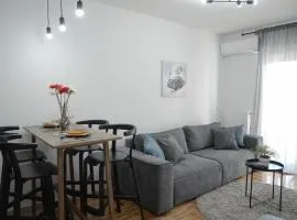 Apartment DobraYa Grey
