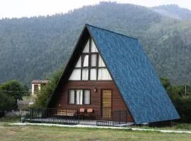 Borjomi Cottage Sadgeri