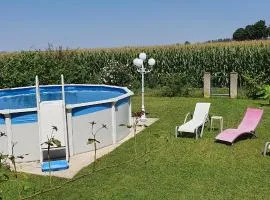 Maison de vacances avec piscine, proche Strasbourg et Europa park