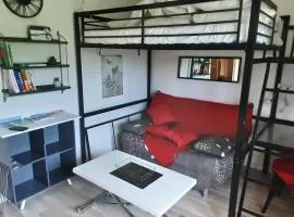 Studio sur les pistes