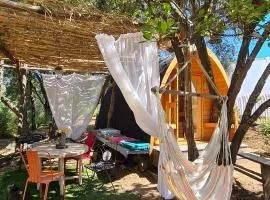 Gîte atypique Le Pod au coeur du maquis