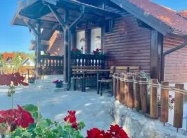 Vila Zorica Vodice