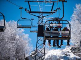 Beech Mountain Ski Suite, hotel in Beech Mountain