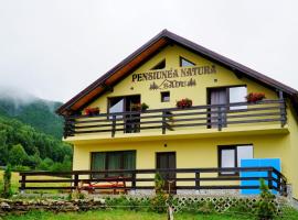 Pensiunea Natura Sadu, hostal o pensión en Sibiu