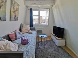 ** appartement cathédrale Strasbourg centre**