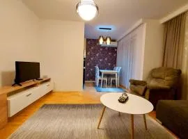 Apartment 13c