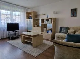 Santariškės Apartment