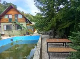Mecsek apartman