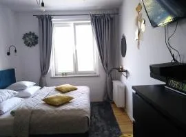 Wygodny Apartament w Śródmieściu Gdańska