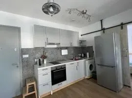 Lovely 1-bd apt with patio in Nicosia center