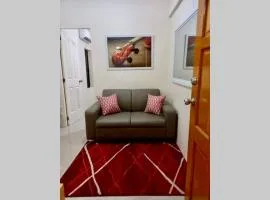 Cosy 1-bedroom condo in vibrant Malabanias