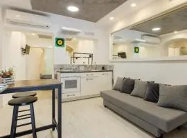 HISTORICAL WORKSHOP APARTMENT - Fico