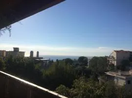 AZURELLE