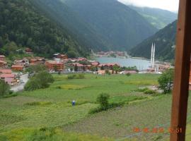 Zeren Pansiyon, designov&yacute; hotel v destinaci Uzung&ouml;l