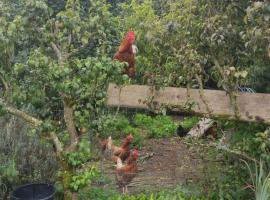 bienvenue chez Joëlle et André au 207, allotjament a Balazé