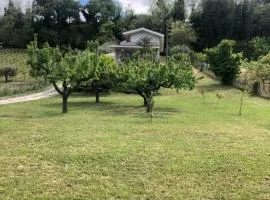 B&B AcquaViva