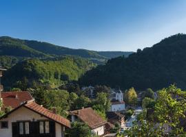 Apartments Vidik, hotel di Ivanjica