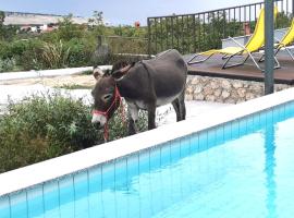 Villa Suzi Donkey farm with seaview, hotel di Šmrika