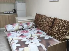Коттедж Науки 65