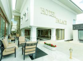 Hotel Palace Severin, hotel din Drobeta-Turnu Severin