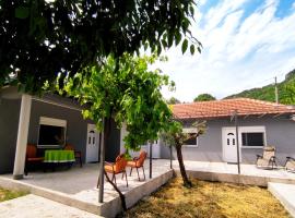 Celtis Shade House, villa in Virpazar