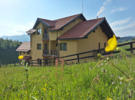 Pensiunea Crai Nou, guest house in Fundata