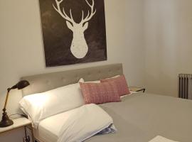 ORIGEN PELAIRE , excelente limpieza y descanso, pet-friendly hotel in Biescas