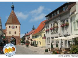 TIPTOP Hotel Garni Pfauen, hotel with parking in Endingen