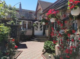 Casa Lidia, hostal o pensión en Rîu de Mori