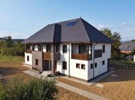 Pensiunea Casa Doamnei, ξενοδοχείο σε Tămaia