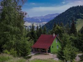 Căbănuța din Pădure, hotel v mestu Borşa