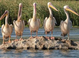 Bunica Maria - Guesthouse for birders