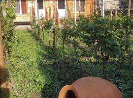 Cottage and Gigo Papa's Wine Cellar, cottage a Kvareli