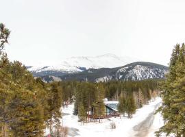 Mark IX #7 - Close to Town - Free Shuttle, hôtel à Breckenridge