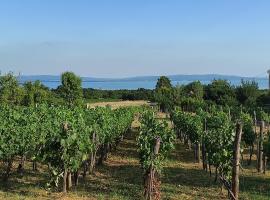 Kisház a szőlőhegyen, magánszállás Balatonakalin