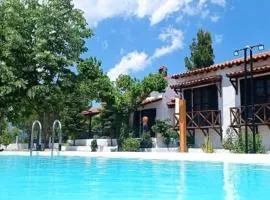 ΑΡΧΟΝΤΙΚΟ ΣΤΟΥΣ ΠΡΟΠΟΔΕΣ ΤΟΥ ΟΡΟΥΣ ΔΙΡΦΥΣ