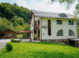 Pensiunea Diana, hotell i Moisei