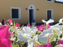 B&B Riva del Gallo