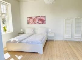 aday - City Central Mansion - 1 Bedroom with big terrace, hotel poblíž Letiště Aalborg - AAL, 