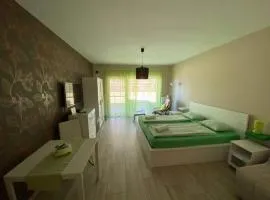 Tóparti Wellness Apartman Delux