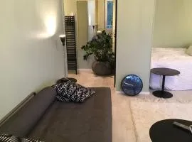 Kauniit yksiöt, 600m keskustaan, ilm parkit