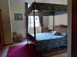 Hotel Tourist House