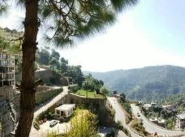 Nature, Meditation with fun and Luv in Woods BAROG near KASAULI