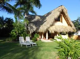 Palm-covered house in the tropical -Casa Oli