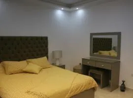 Amazing one Bedroom Apartment in Amman Elwebdah 8