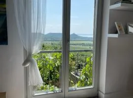 Vinonima Vendégház