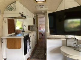Amazing Airstream, Beaufort, SC-Enjoy the Journey, glamping site in Beaufort