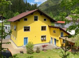 Ferienhaus Elisabeth Selbstversorger Unterkunft, hotel in Sankt Aegyd am Neuwalde