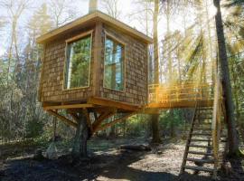 Tiigrisilma Treehouse, hotel Kohilában